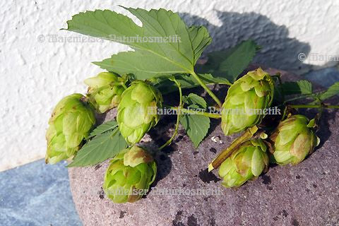 Hopfen (2 ml)