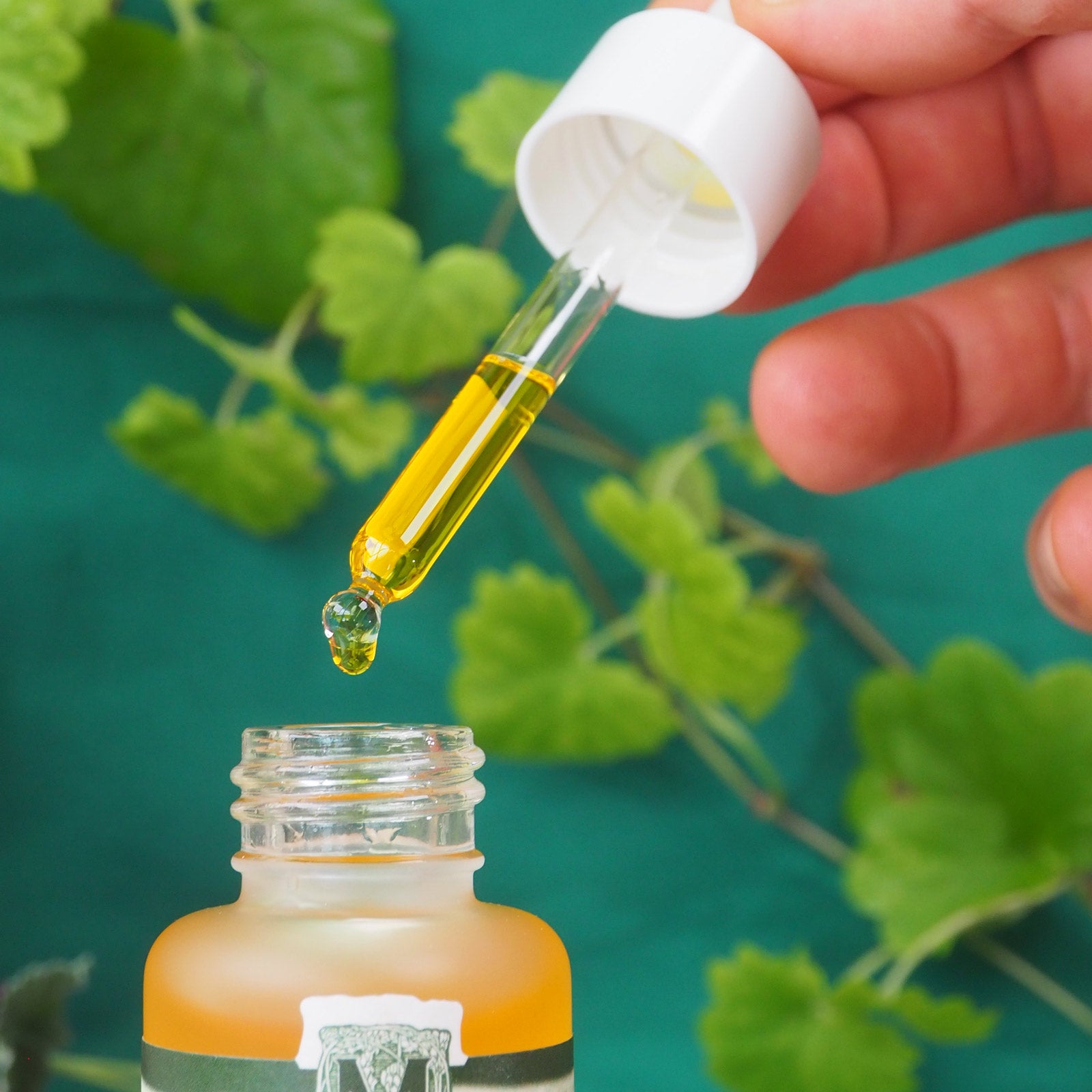 Pipette gefüllt mit Edlem Gesichtsserum