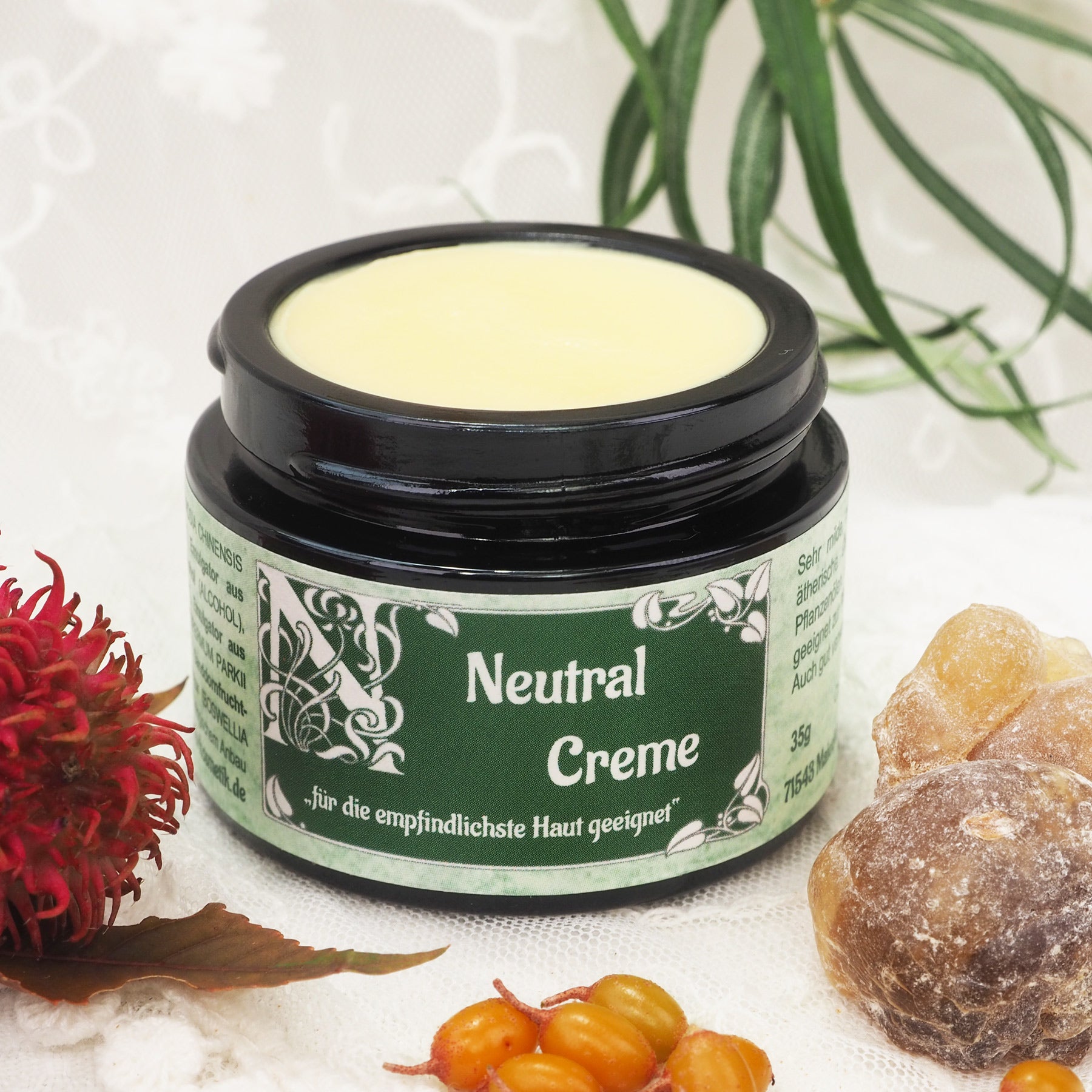 Geöffneter 35ml Neutral Creme Tiegel.