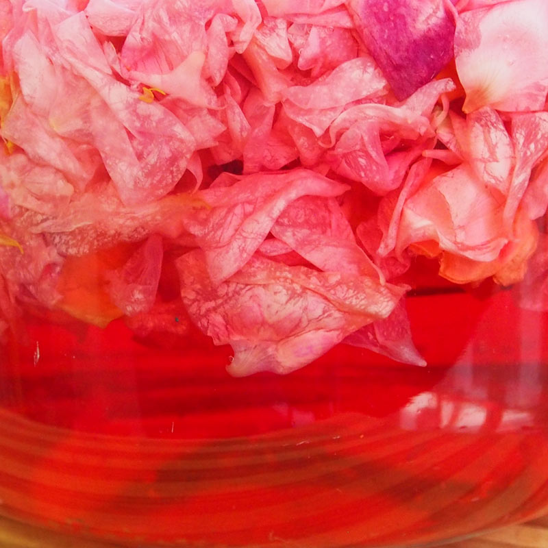 Rosensirup Bio (60 ml)