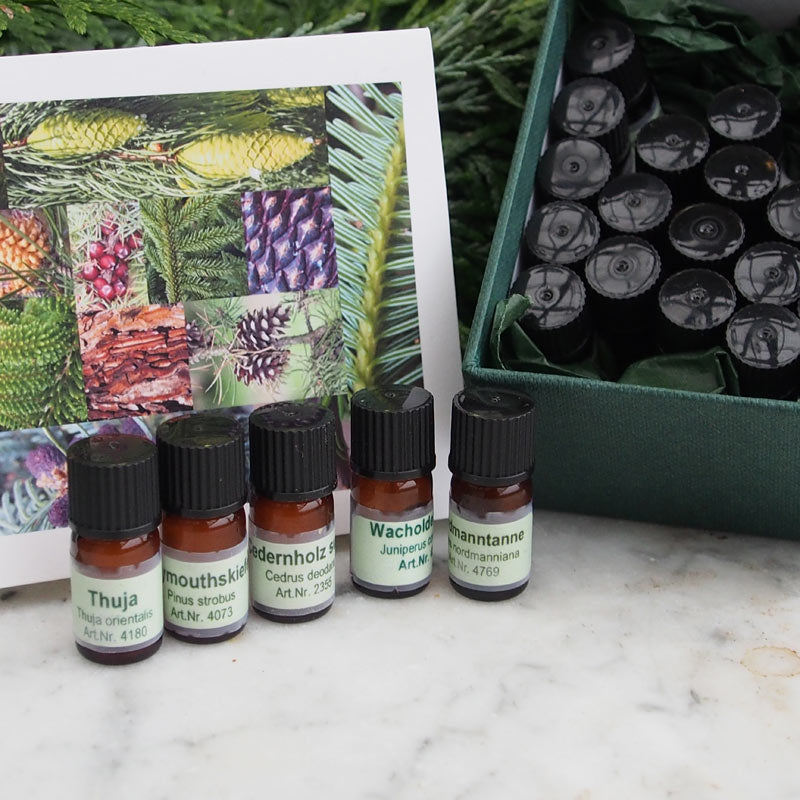 Schnupperbox "Nadelhölzer"