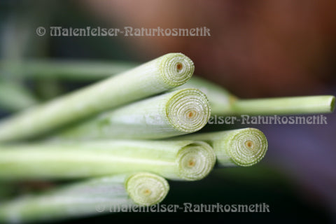 Lemongras Bio (10 ml)