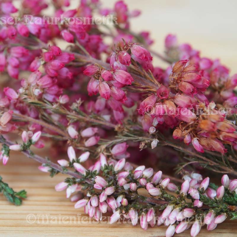 Heidekraut abs. (1 ml/gr.)