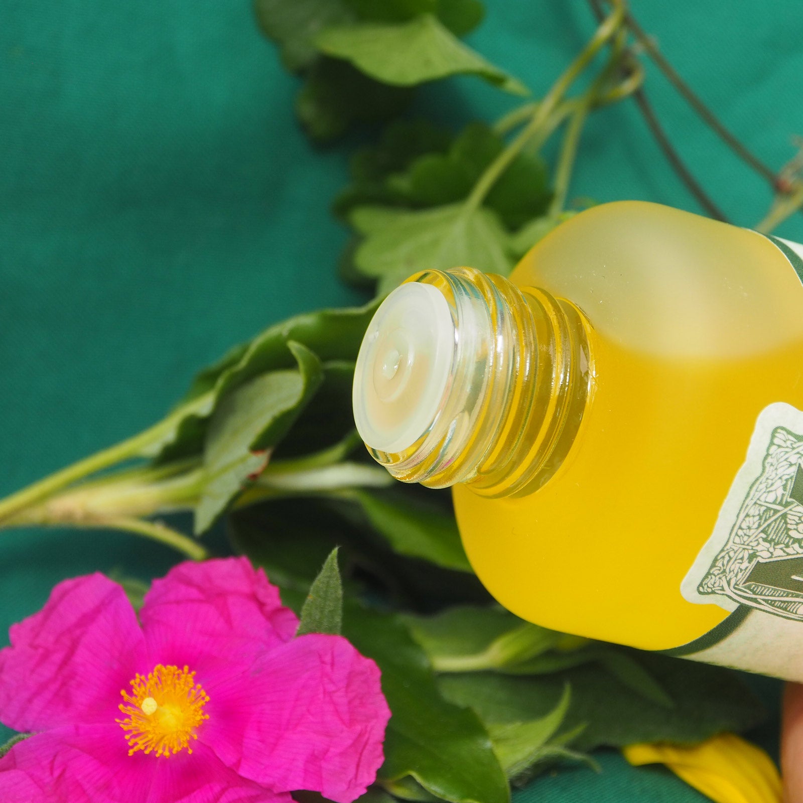 geöffnete Glasflasche mit Tropfeinsatz, Blumenranke und einzelne rosa Blüte im Hintergrund